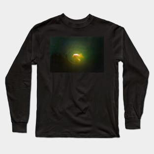 Japan - 'Golden Koi' Long Sleeve T-Shirt